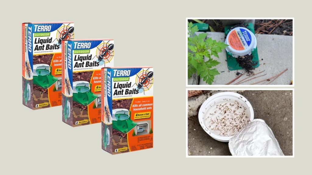 TERRO T1804-3SR Outdoor Liquid Ant Bait