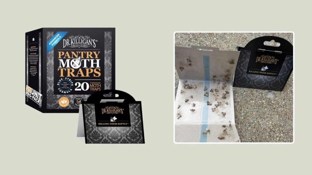 Dr. Killigan’s Pantry Moth Traps with Pheromone Attractant