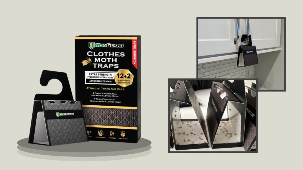 MaxGuard Clothes Moth Traps with Pheromones