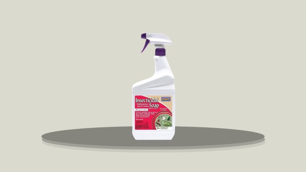 Multi-Purpose Insecticidal Soap for Organic Gardening
