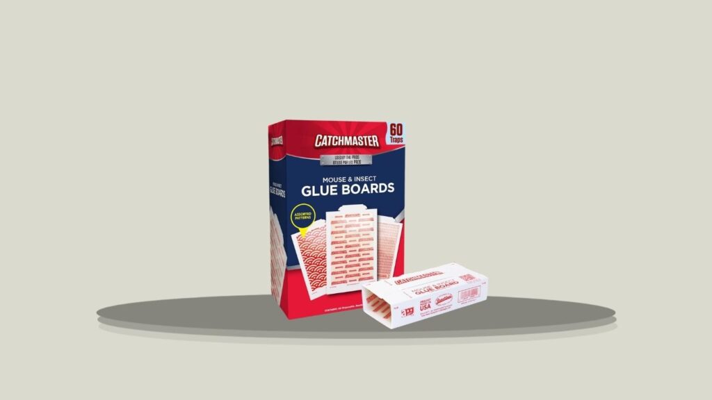 Indoor Glue Boards for Spiders and Crawling Pests