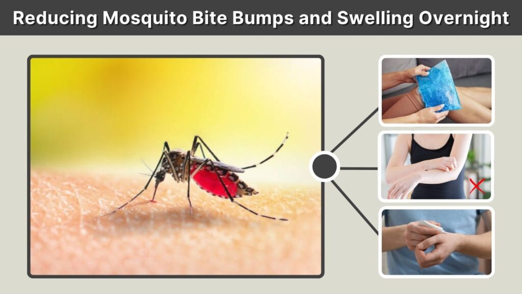 Reducing Mosquito Bite Bumps and Swelling Overnight