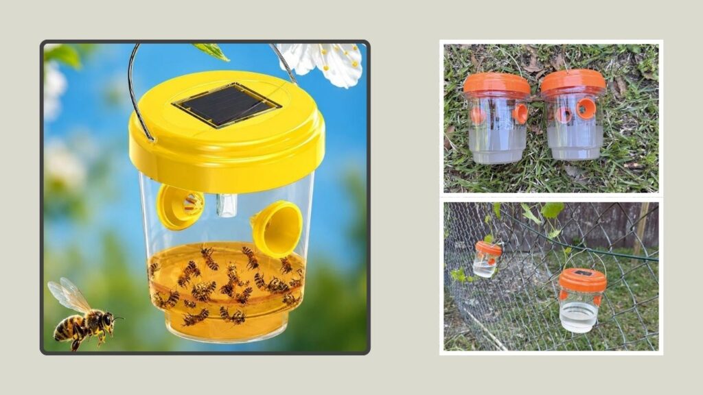 Outdoor Hanging Wasp & Hornet Trap – Multi-Pack