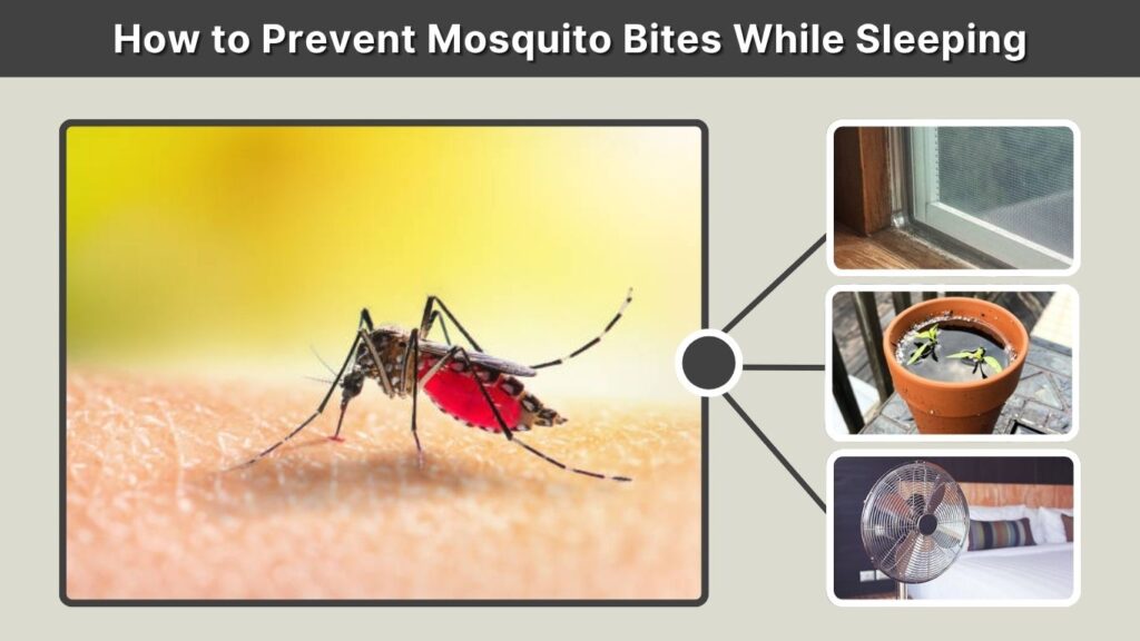 How to Prevent Mosquito Bites While Sleeping