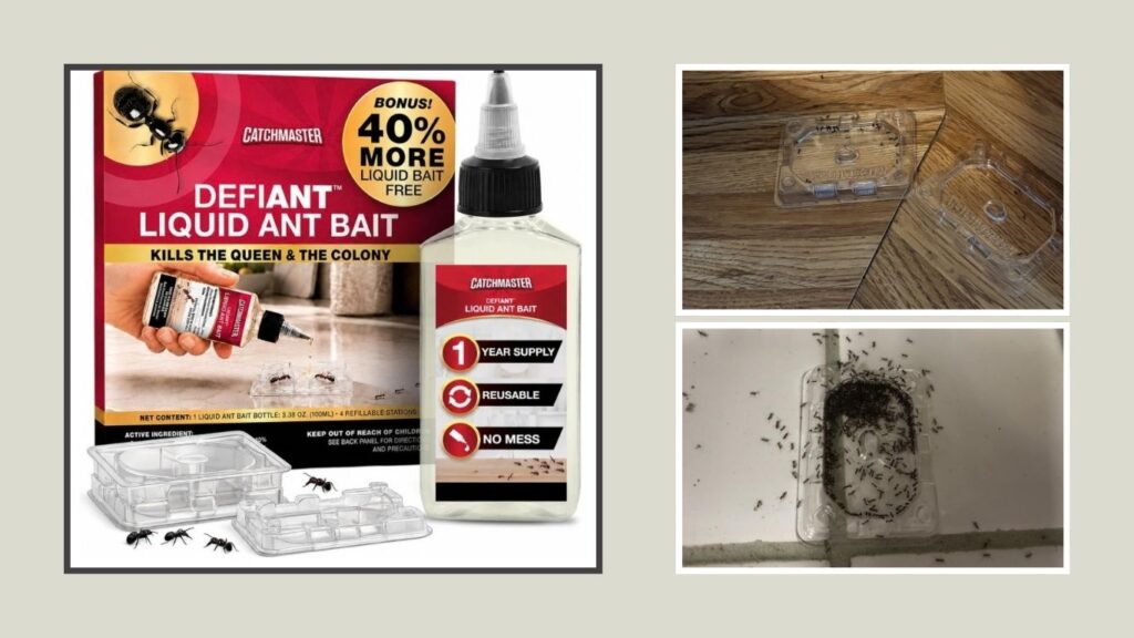 Catchmaster Defiant Premium Ant Traps