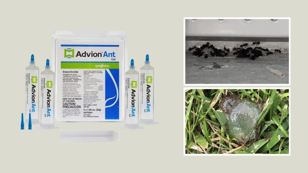 Syngenta Advion Ant Gel Bait