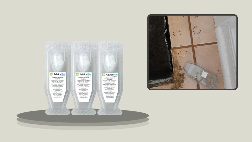 Syngenta Advion Ant Gel Station Insecticide – 3 Stations