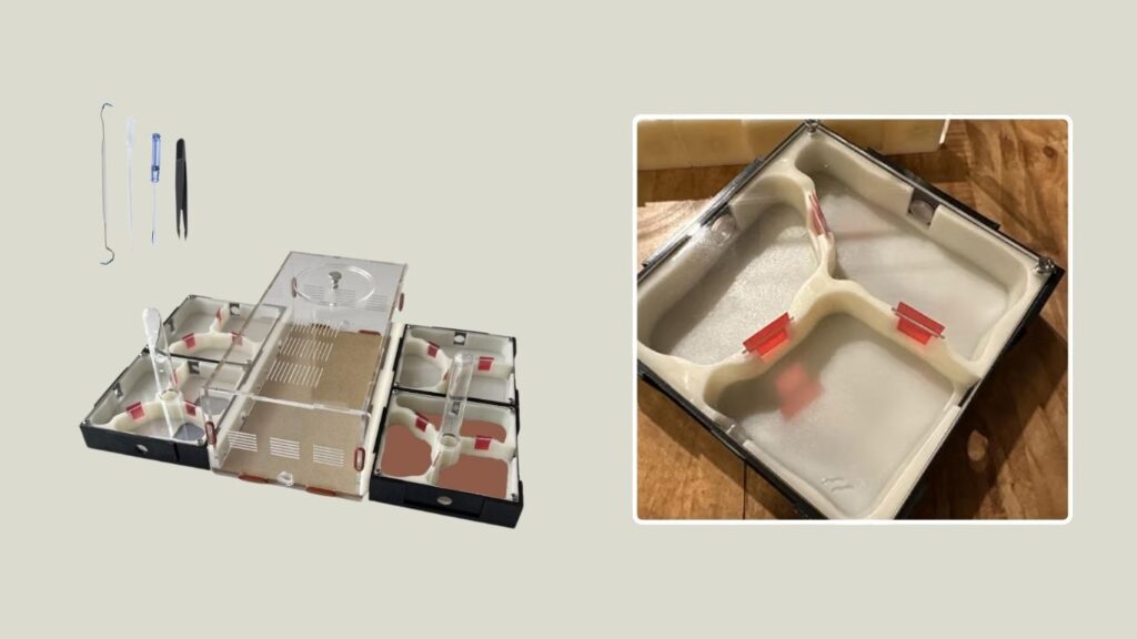 Ant Terrarium Nurturing & Comprehensive Observation Set