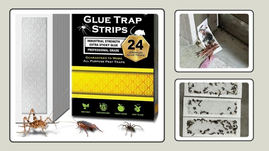 MaxGuard Extra-Sticky Pre-Baited Glue Trap Strips