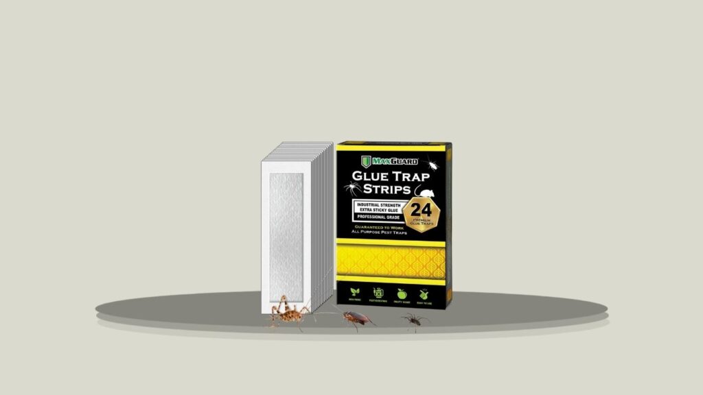Pre-Baited Sticky Traps for Spiders, Cockroaches & Centipedes