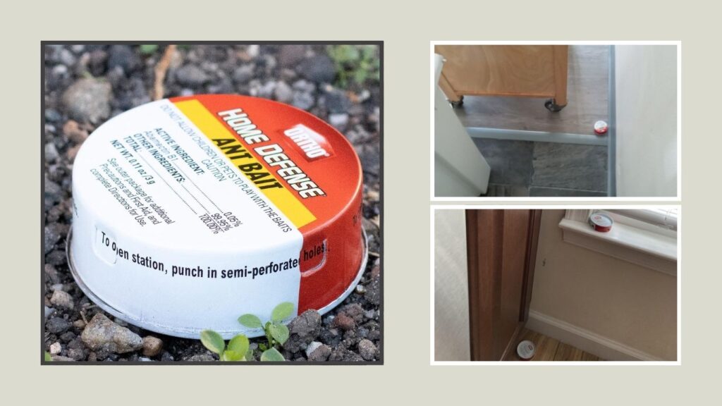 Ortho Ant Traps
