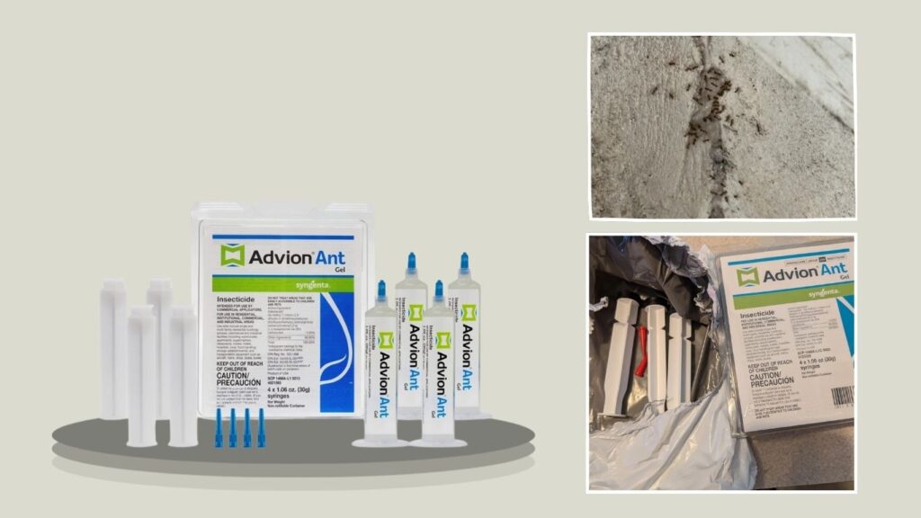 Advion Ant Gel Bait with Indoxacarb