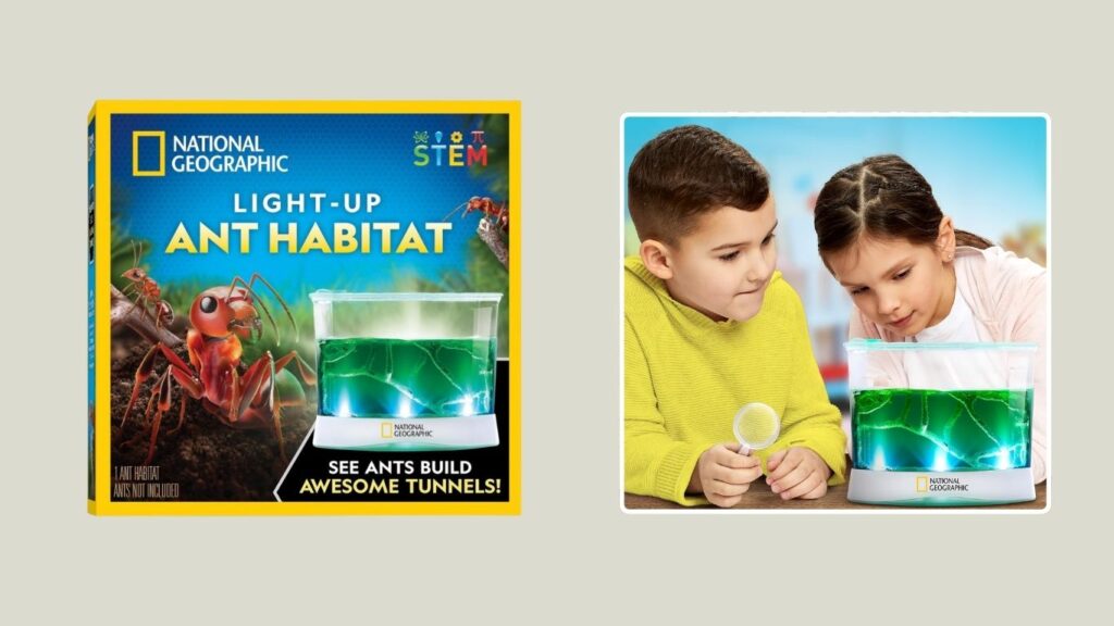 National Geographic Ant Farm Kit by Blue Marble