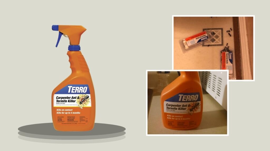 T1100 Carpenter Ant & Termite Killer Ready-to-Use Spray