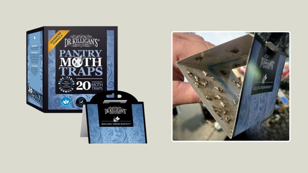 Dr. Killigan’s Pheromone Pantry Moth Traps