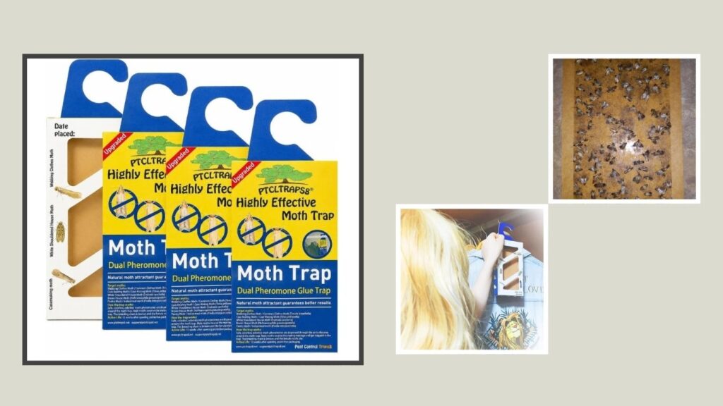 Clothes Moth Traps with Pheromones for Closets & Carpets