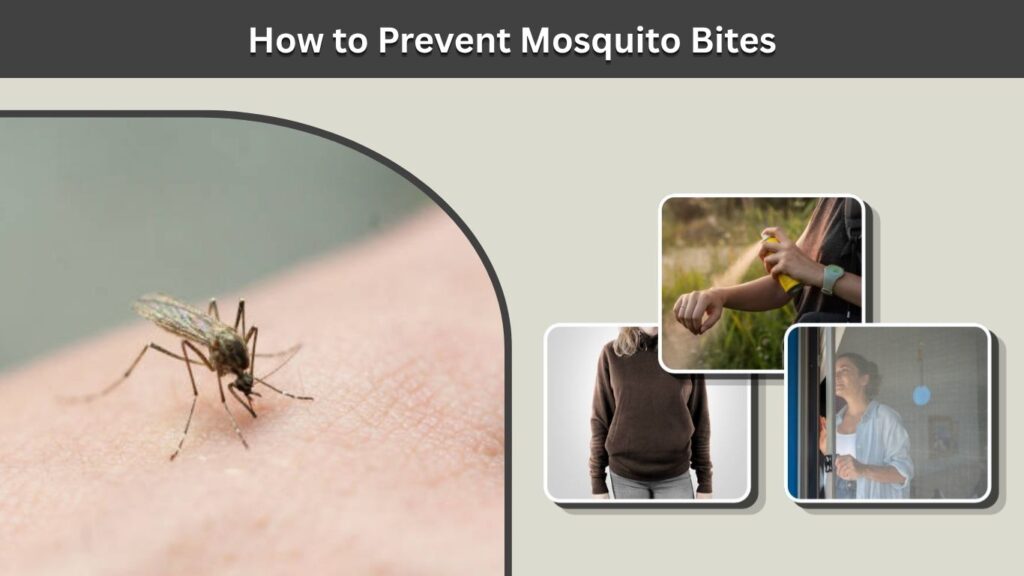 How to Prevent Mosquito Bites