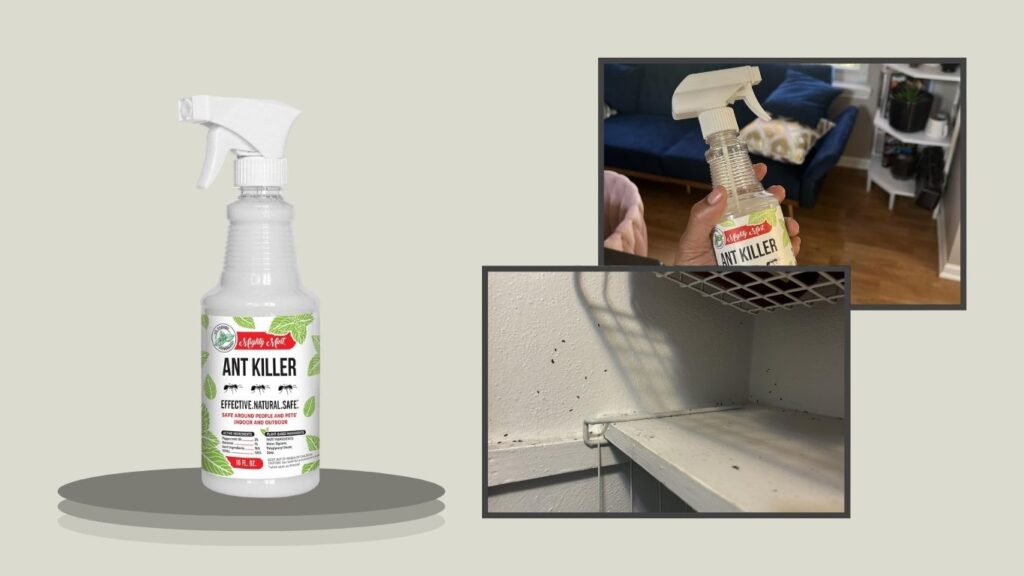 Mighty Mint Peppermint Oil Ant Killer Spray