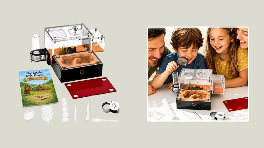 Rimsunta Ant Farm Behavior Terrarium & Educational Formicarium