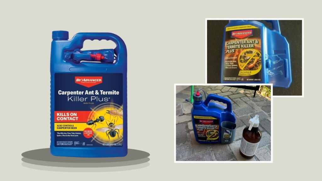 BioAdvanced Carpenter Ant & Termite Killer for Outdoor Use