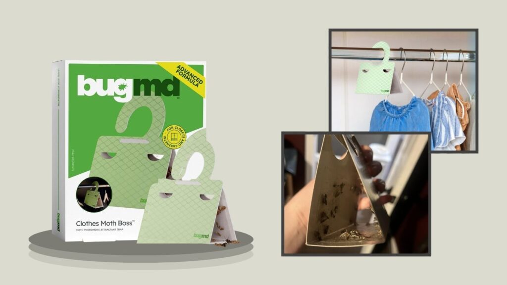 BugMD Clothes Moth Boss Pheromone Traps