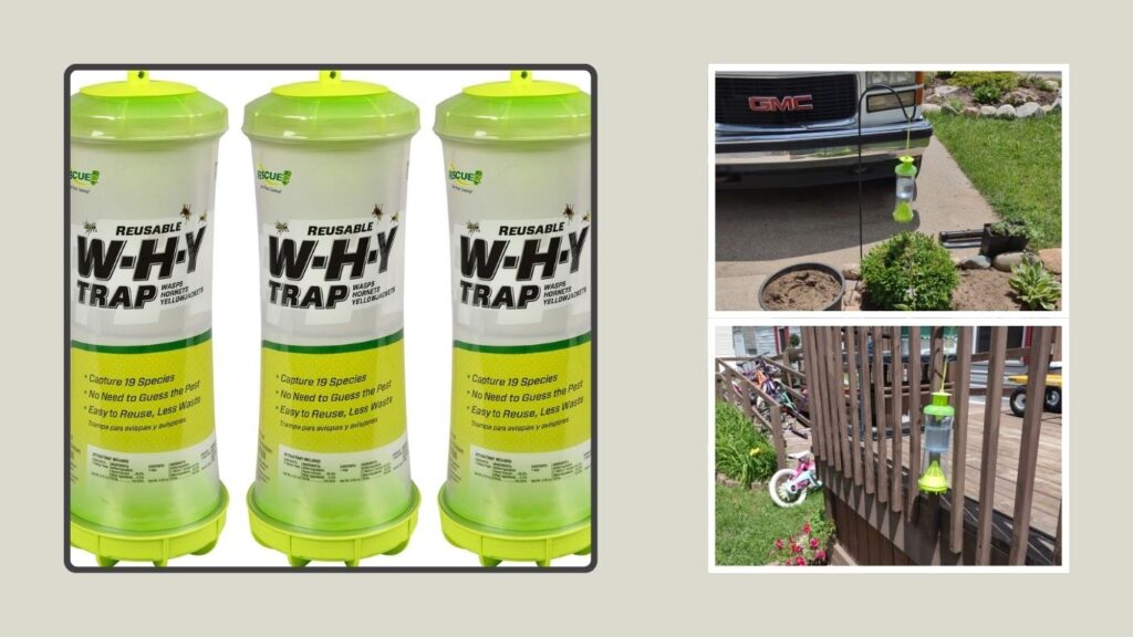 RESCUE! WHY Trap for Wasps, Hornets & Yellowjackets