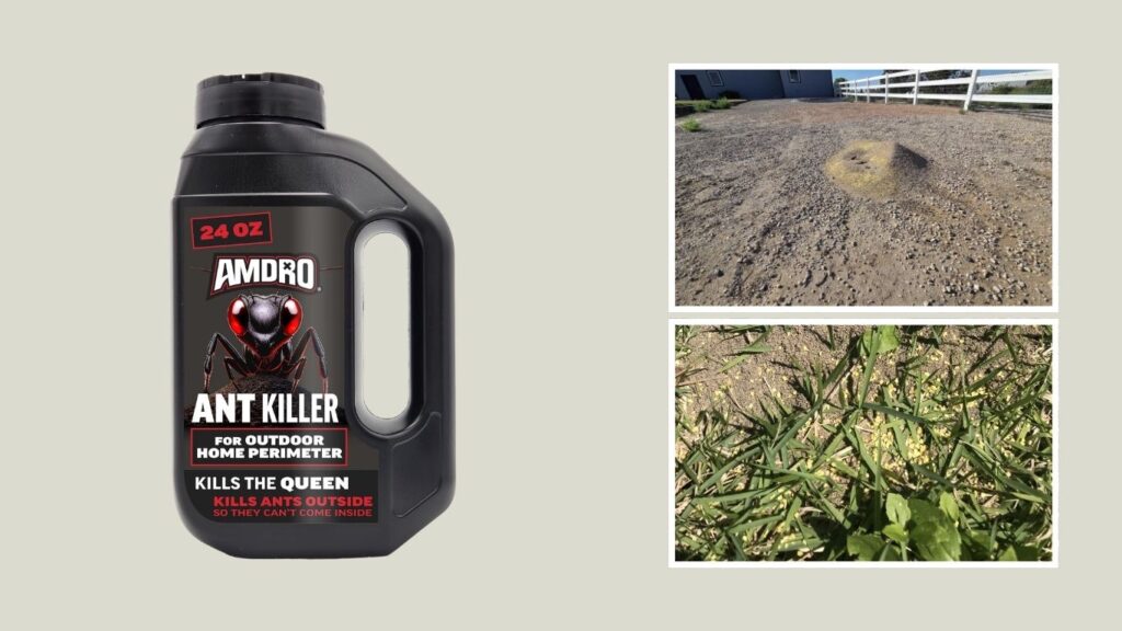 AMDRO Ant Killer for Outdoor Home Perimeter