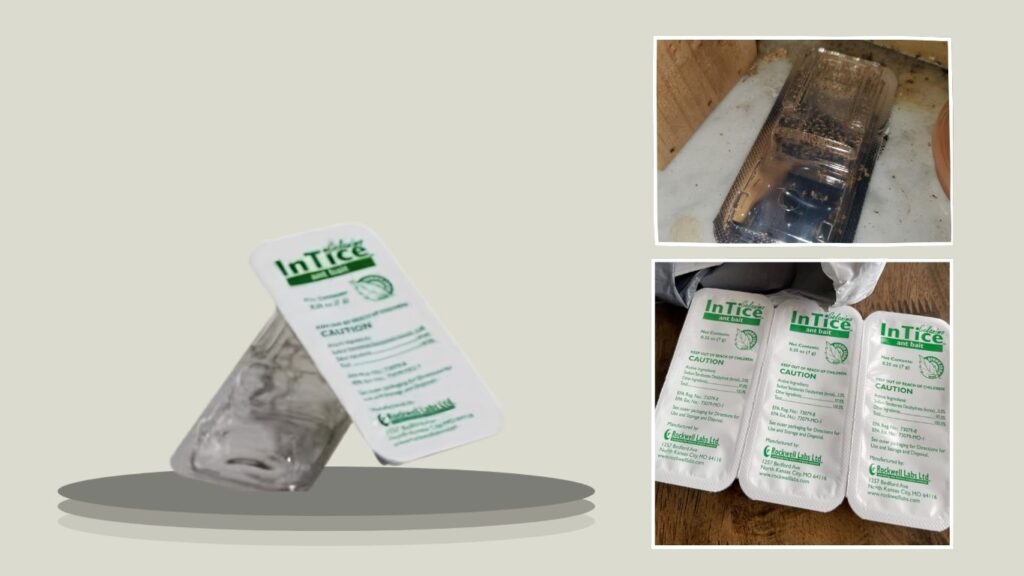 Rockwell InTice Gelanimo Ant Bait Stations