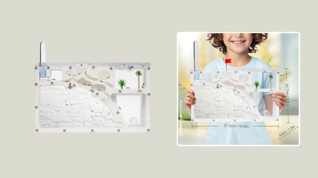 Ant Farm Castle Observation & Educational Kit