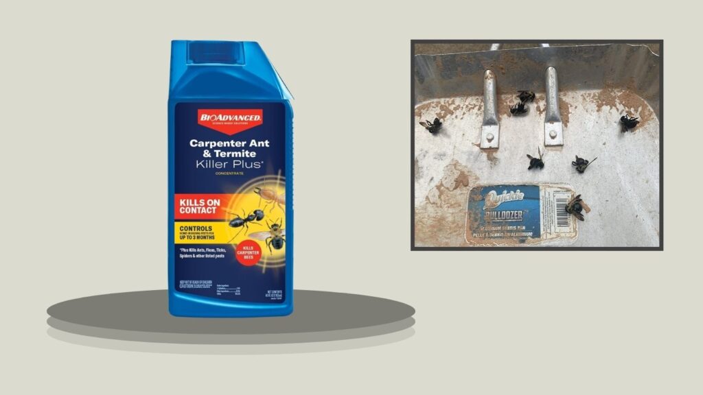 BioAdvanced Carpenter Ant & Termite Killer Plus Concentrate