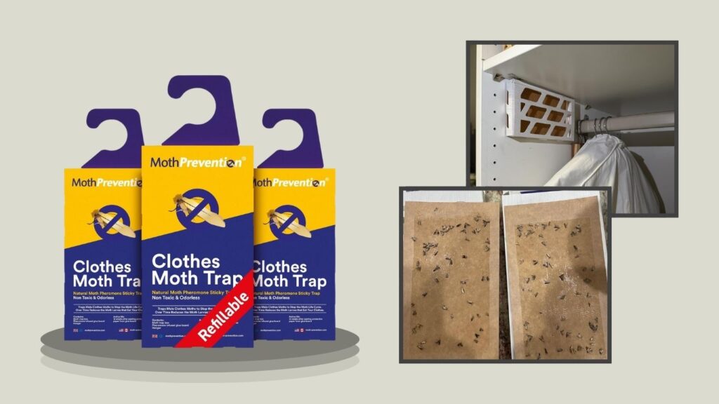 Powerful Refillable Clothes Moth Pheromone Trap
