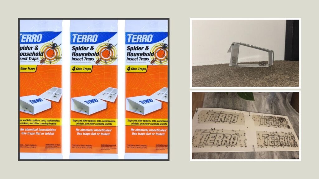 TERRO T3206SR Crawling Insect Traps