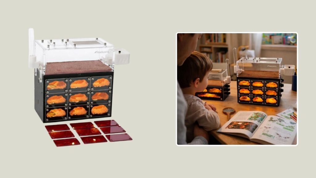 RIMSUNTA Ant Farm Kit with Built-In Hydration System