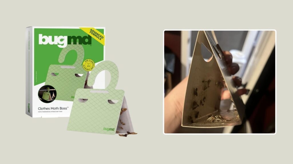 BugMD Clothes Moth Boss Pheromone Traps