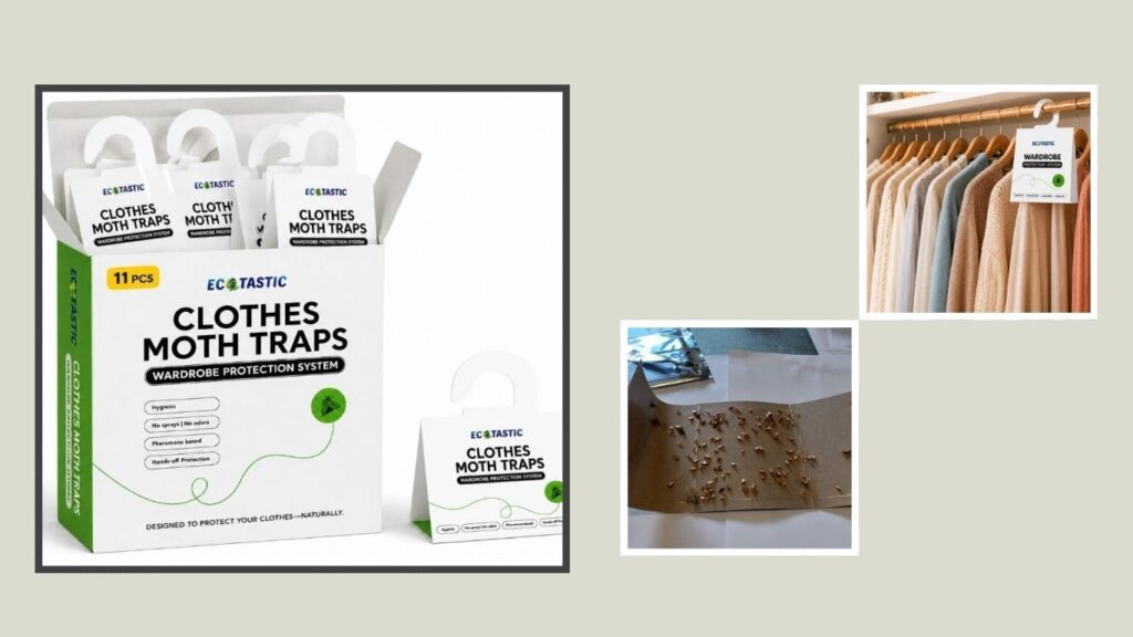 Clothes Moth Traps for Clothing Protection & Prevention