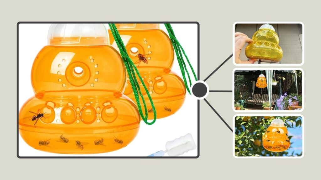Reusable Outdoor Hanging Hornet & Wasp Catcher