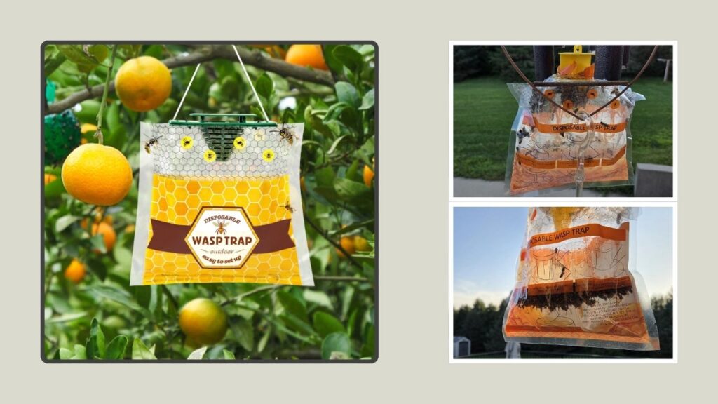 Disposable Outdoor Hanging Wasp & Hornet Trap