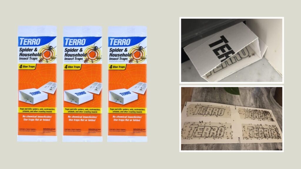 TERRO T3206SR Crawling Insect Traps