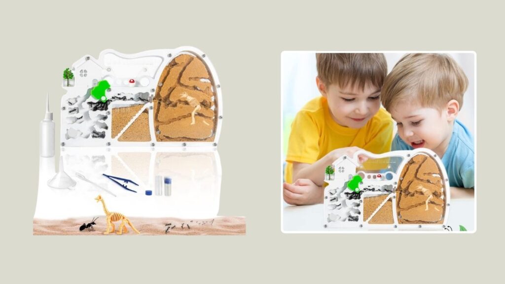 ELNMLHT Ant Farm Observation & Educational Learning Kit