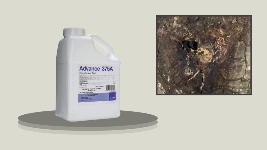 Advance 375A Select Granular Ant Bait