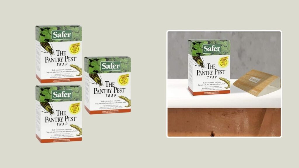 Safer Brand 05140 Pantry Moth Trap