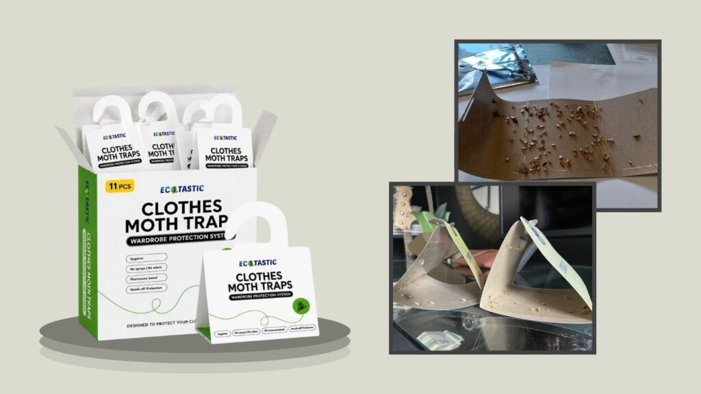 Clothes Moth Traps for Garment Protection