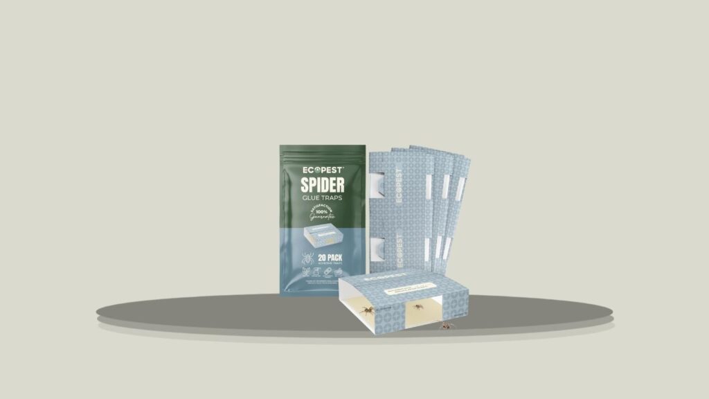 Spider Traps with Crawling Insect Adhesive Detector
