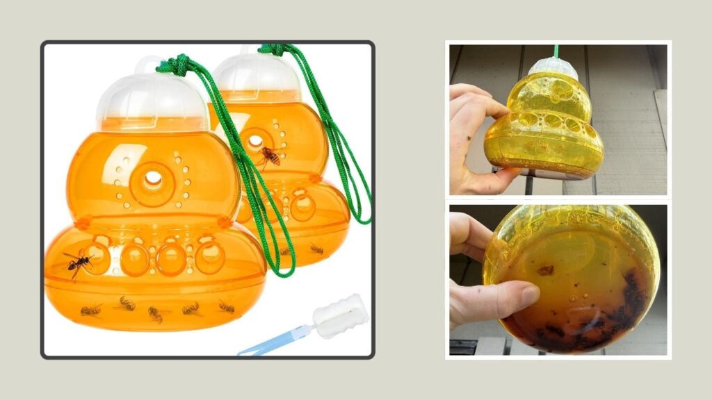 Reusable Outdoor Hanging Hornet & Wasp Catcher