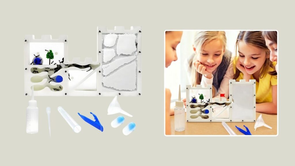 EXBEPE Ant Farm Habitat Ecosystem & Educational Kit