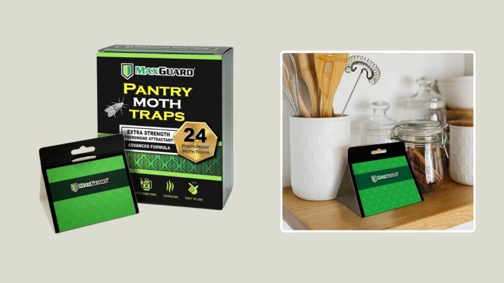 MaxGuard Pantry Moth Traps with Pheromones