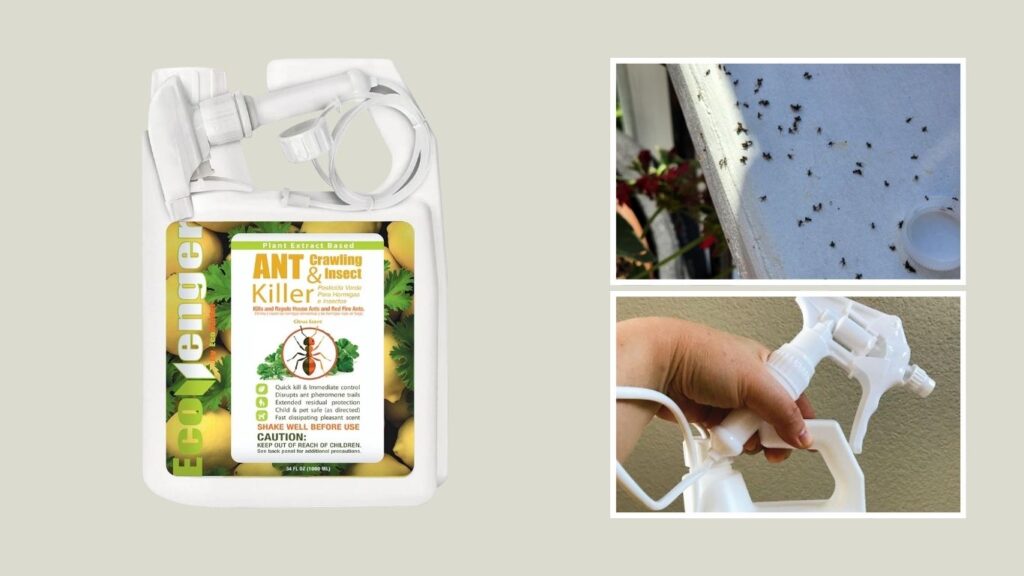 EcoVenger Ant & Crawling Insect Killer