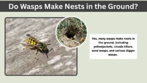 Do Wasps Make Nests in the Ground? Types, Reasons, and Identification