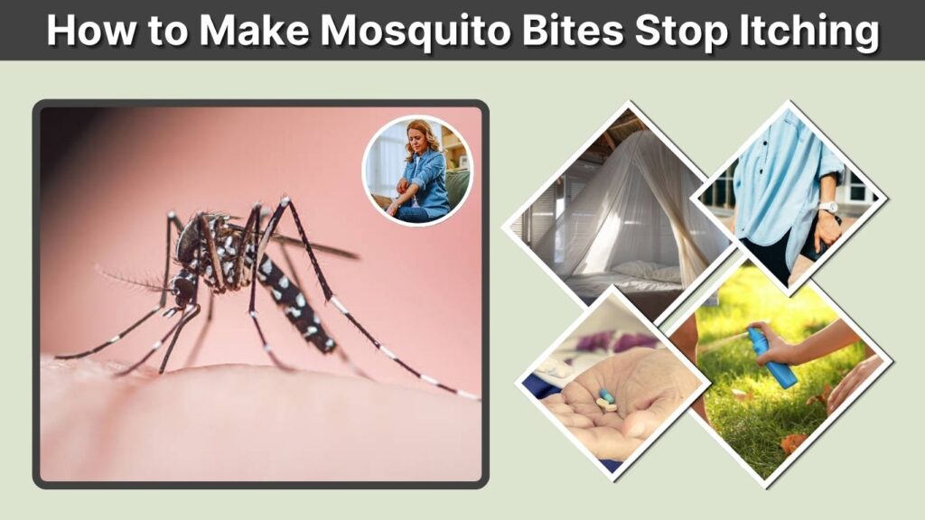 How to Make Mosquito Bites Stop Itching: 9 Easy Ways