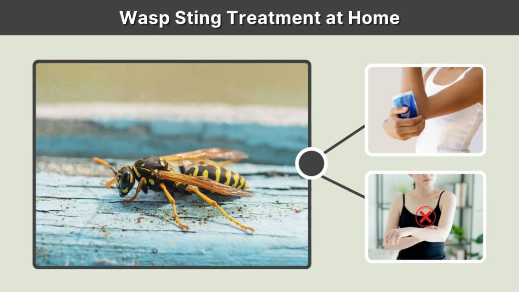 Wasp Sting Treatment at Home